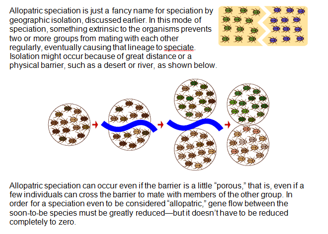sympatric speciation and ecotone